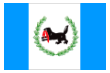 Флаг